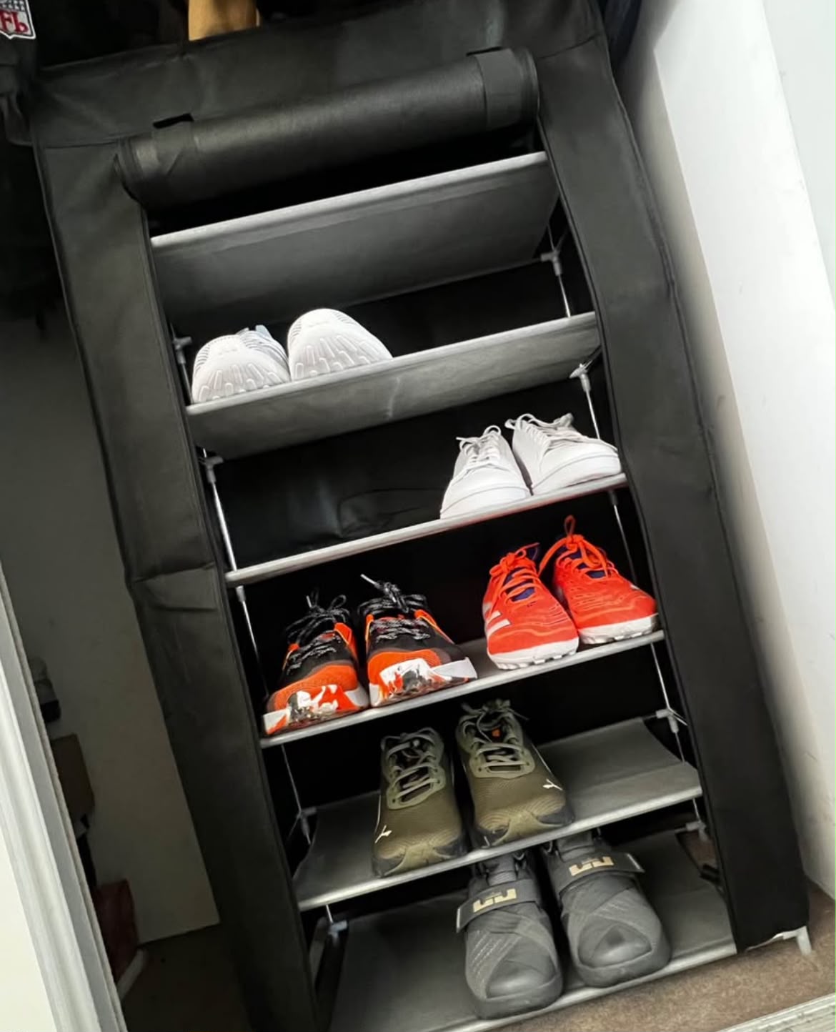 Zapatero organizador 6 niveles
