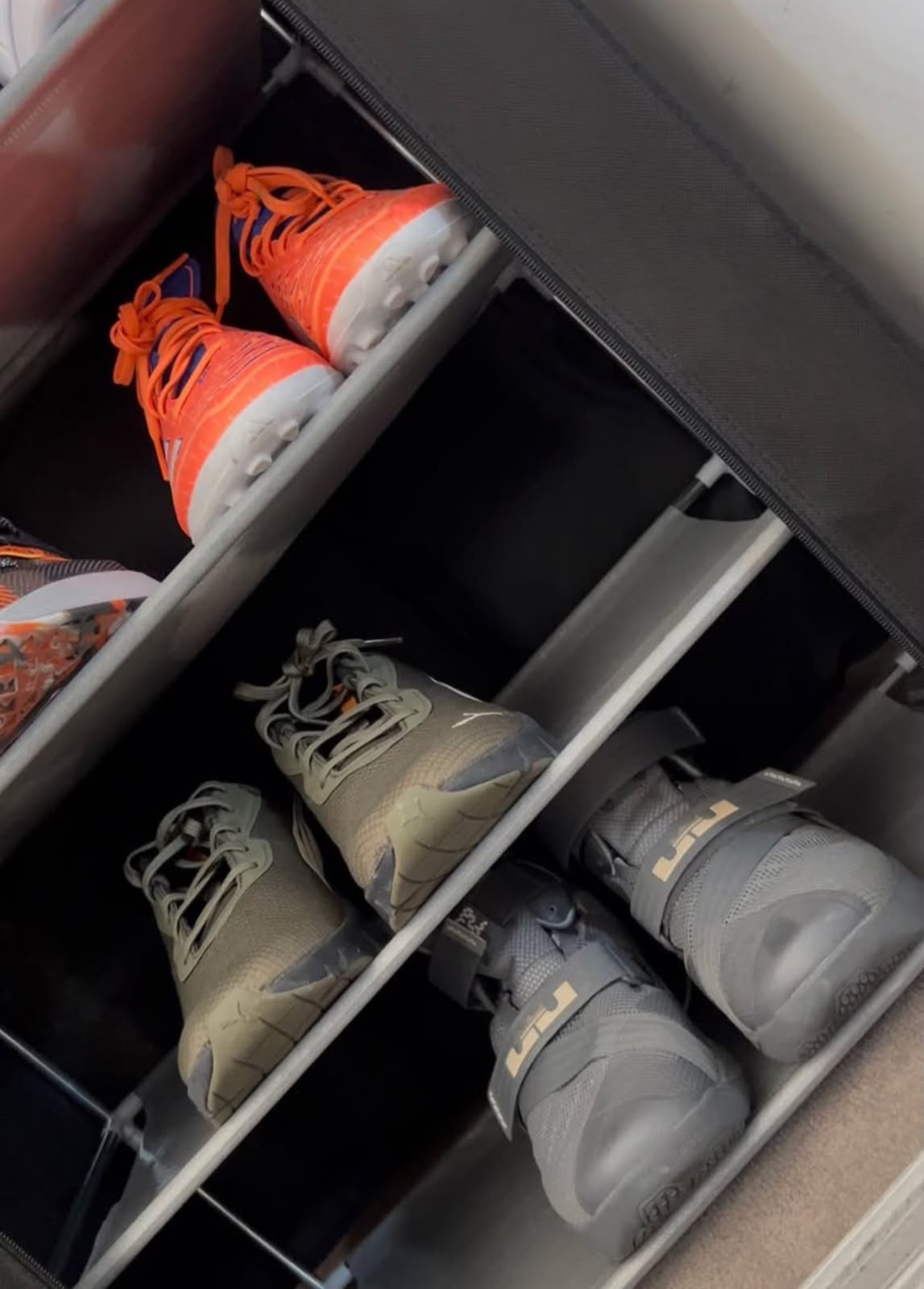 Zapatero organizador 6 niveles
